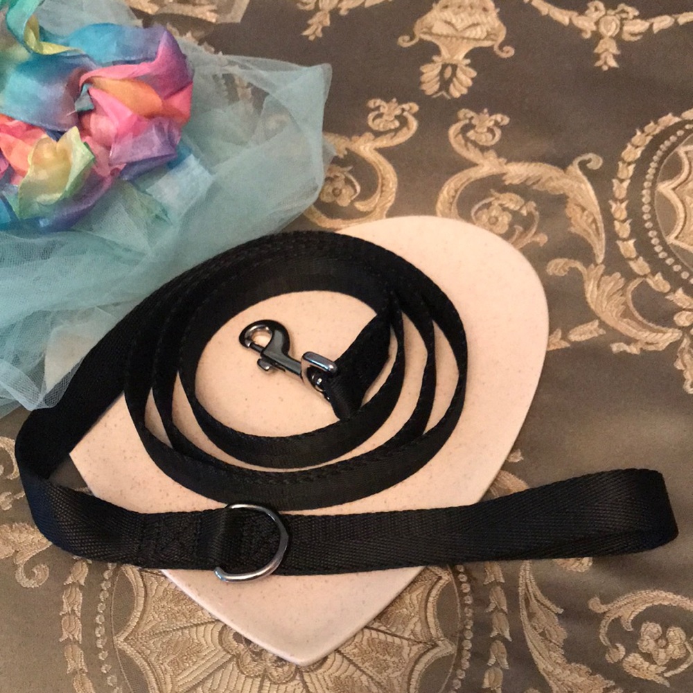 Pet Leash 1 Inch Black New